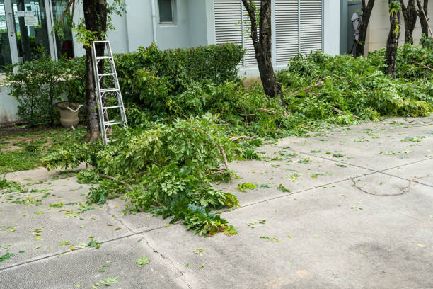 Best Tree Trimming Near Me  in Osawatomie, KS